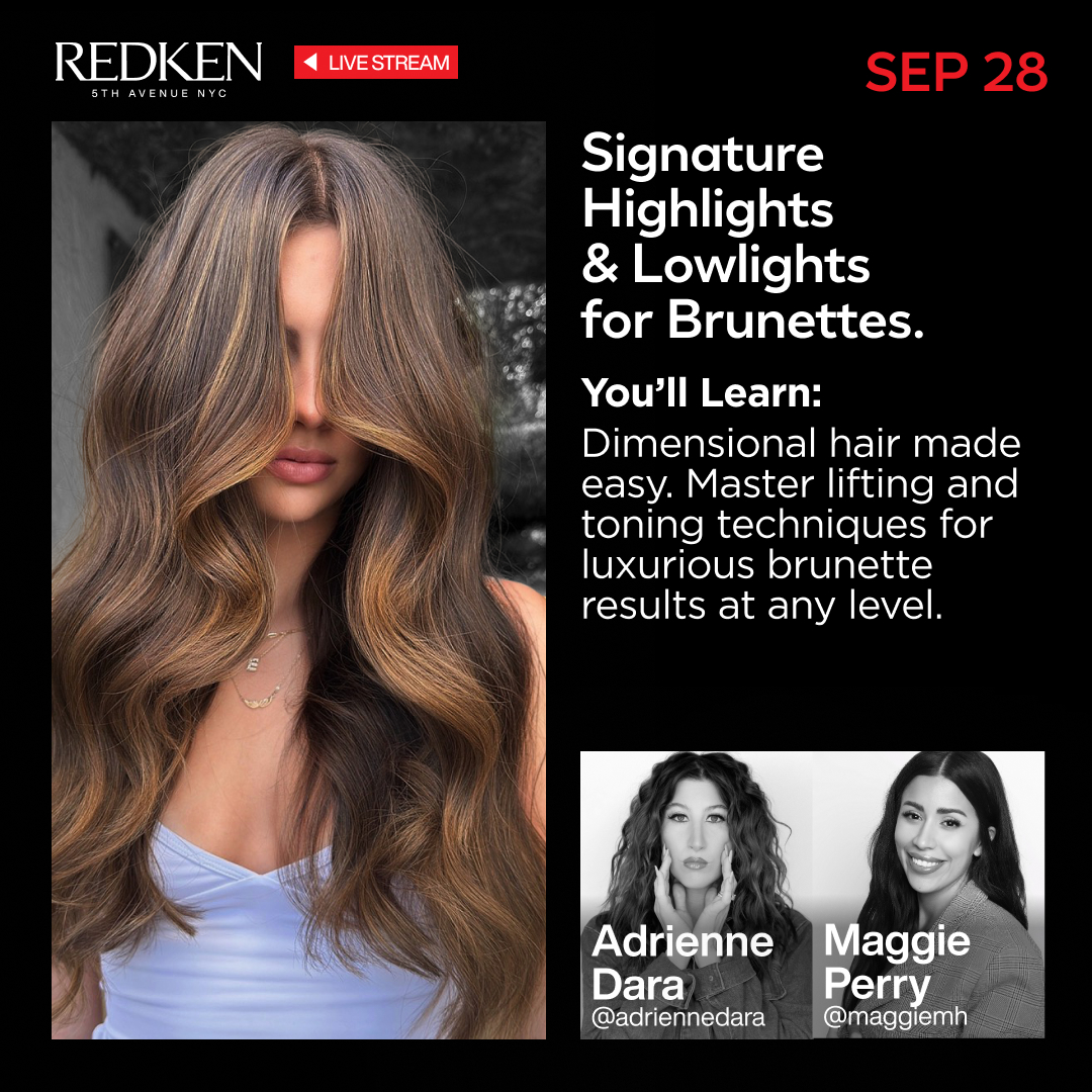Redken Signature Brunette Highlights and Lowlights class artwork